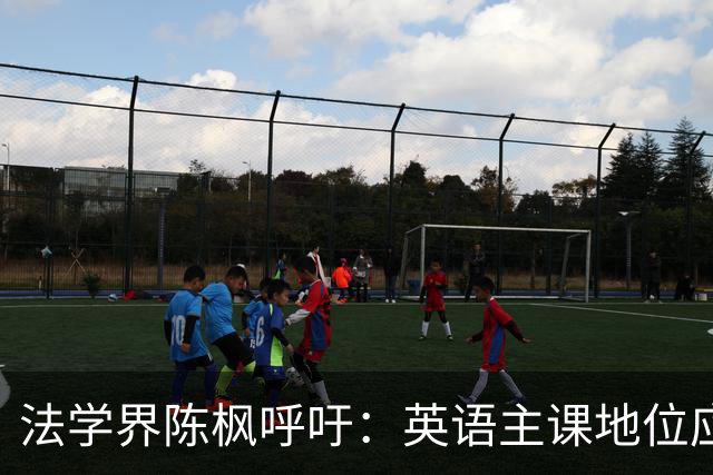 法学界陈枫呼吁：英语主课地位应被重新审视，教育需回归本土文化
